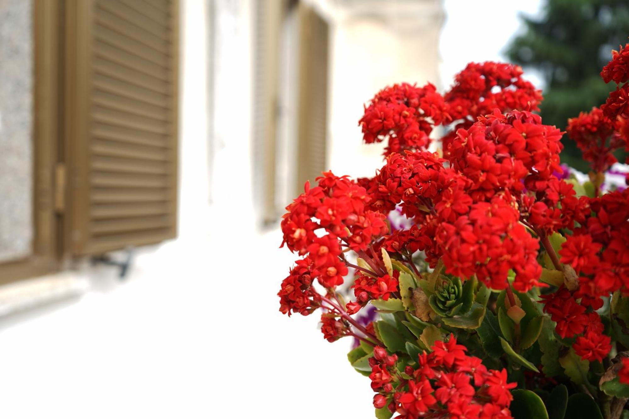 Ostuni Dream House Apartment ภายนอก รูปภาพ
